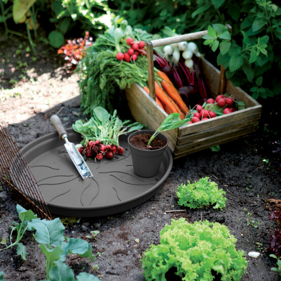 Elho Saksı Altlığı Siyah Green Basics 