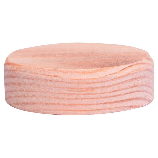 Craftomat Pivot Dübel 35x10 mm (10 adet) 