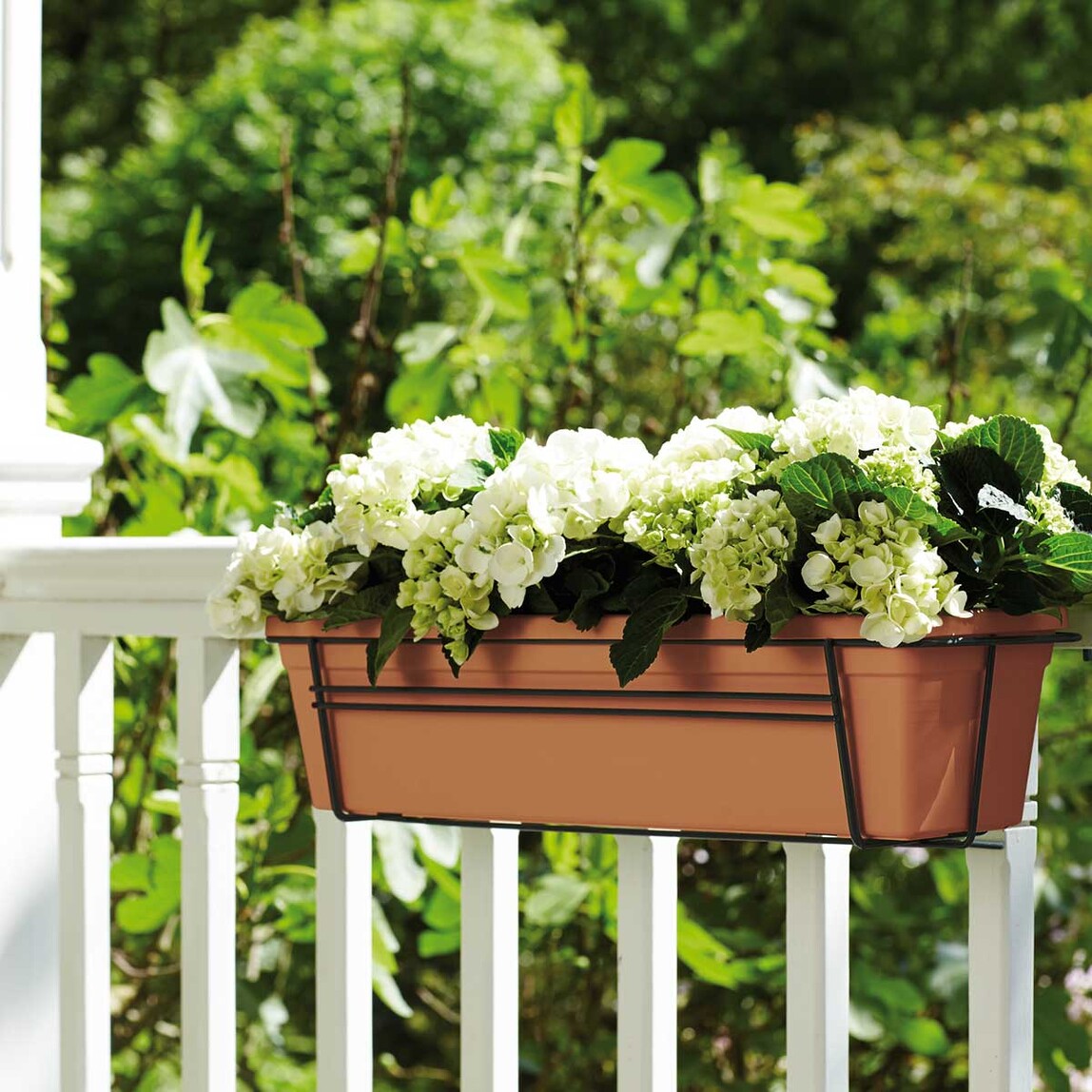    Elho Green Basics Balkon Saksısı Kahve 80 cm  