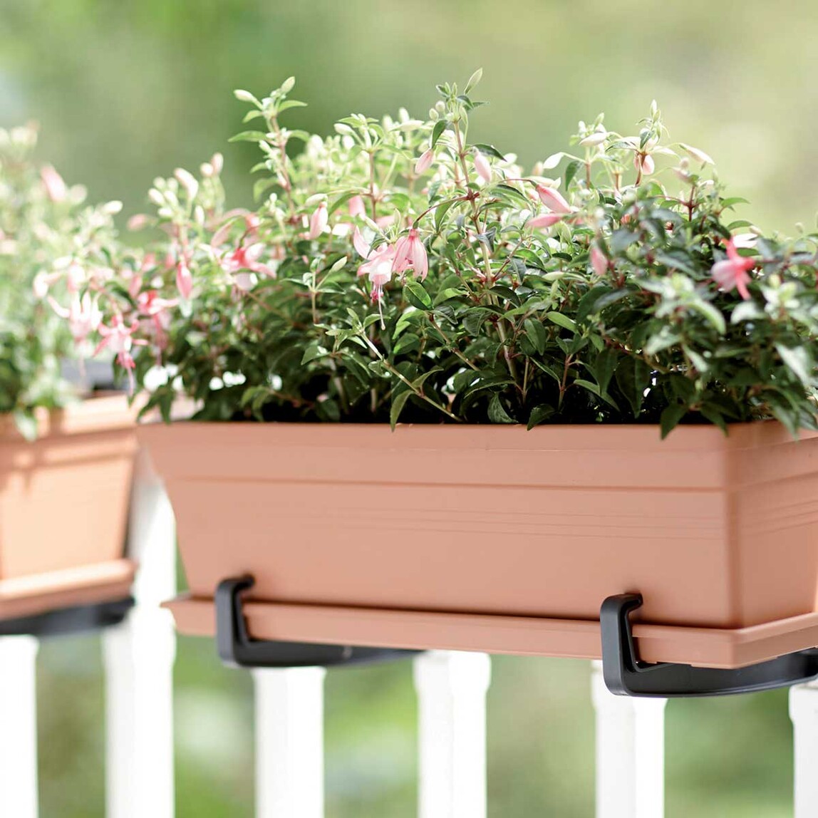    Elho Green Basics Balkon Saksısı Kahve 80 cm  
