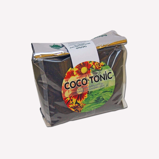 Genta Coco Tonik Vilmorin 