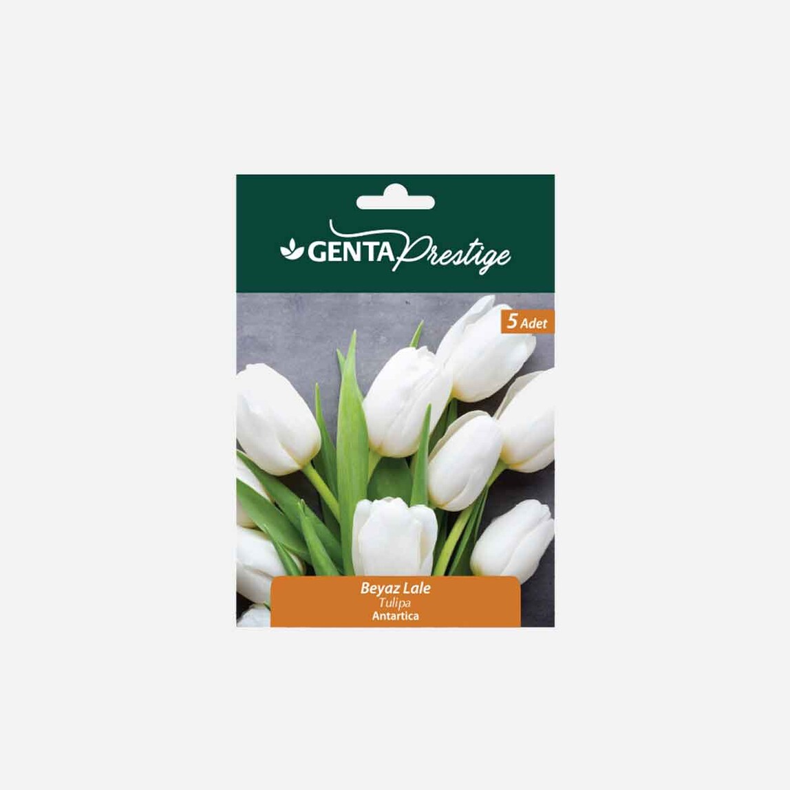    Genta Prestige Güz Soğanları    