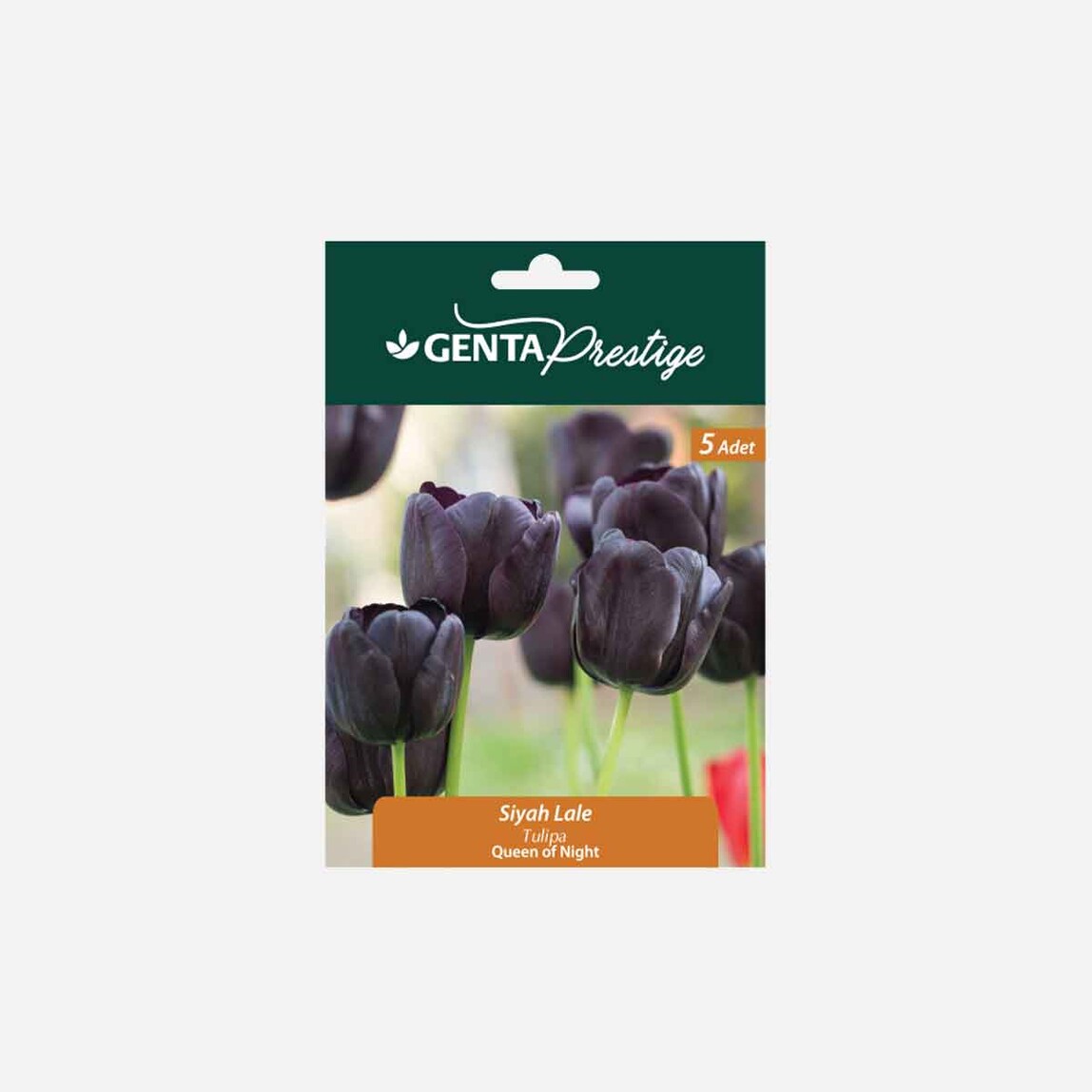    Genta Prestige Güz Soğanları    