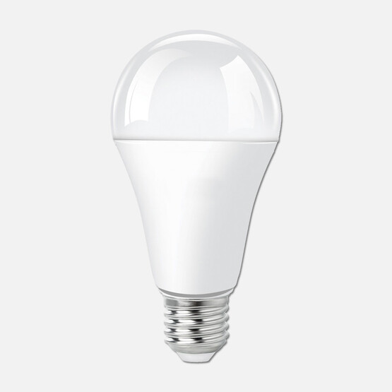 Ecolite Led Classic A80 16 W Beyaz 6500K E27 LED Ampul