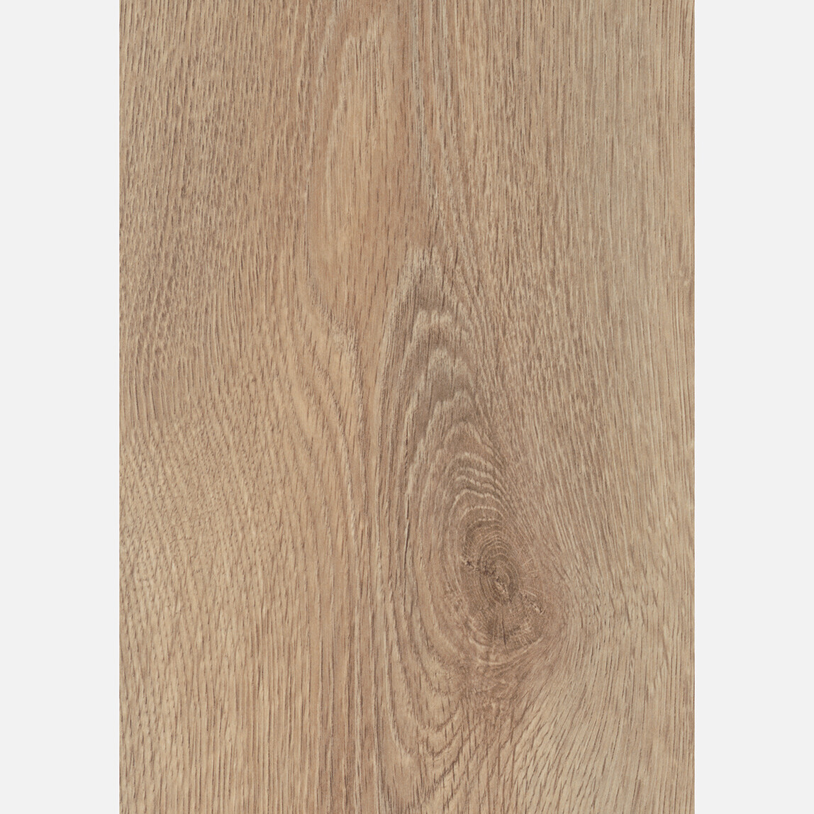    Euro Home Yenice Meşe Laminat Parke 1285x192x8 mm 