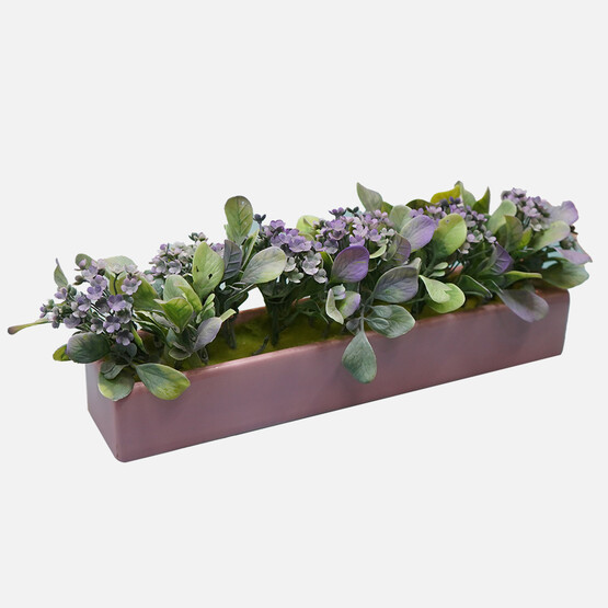 Dekoratif Dikdötgen Saksıda Kalanchoe