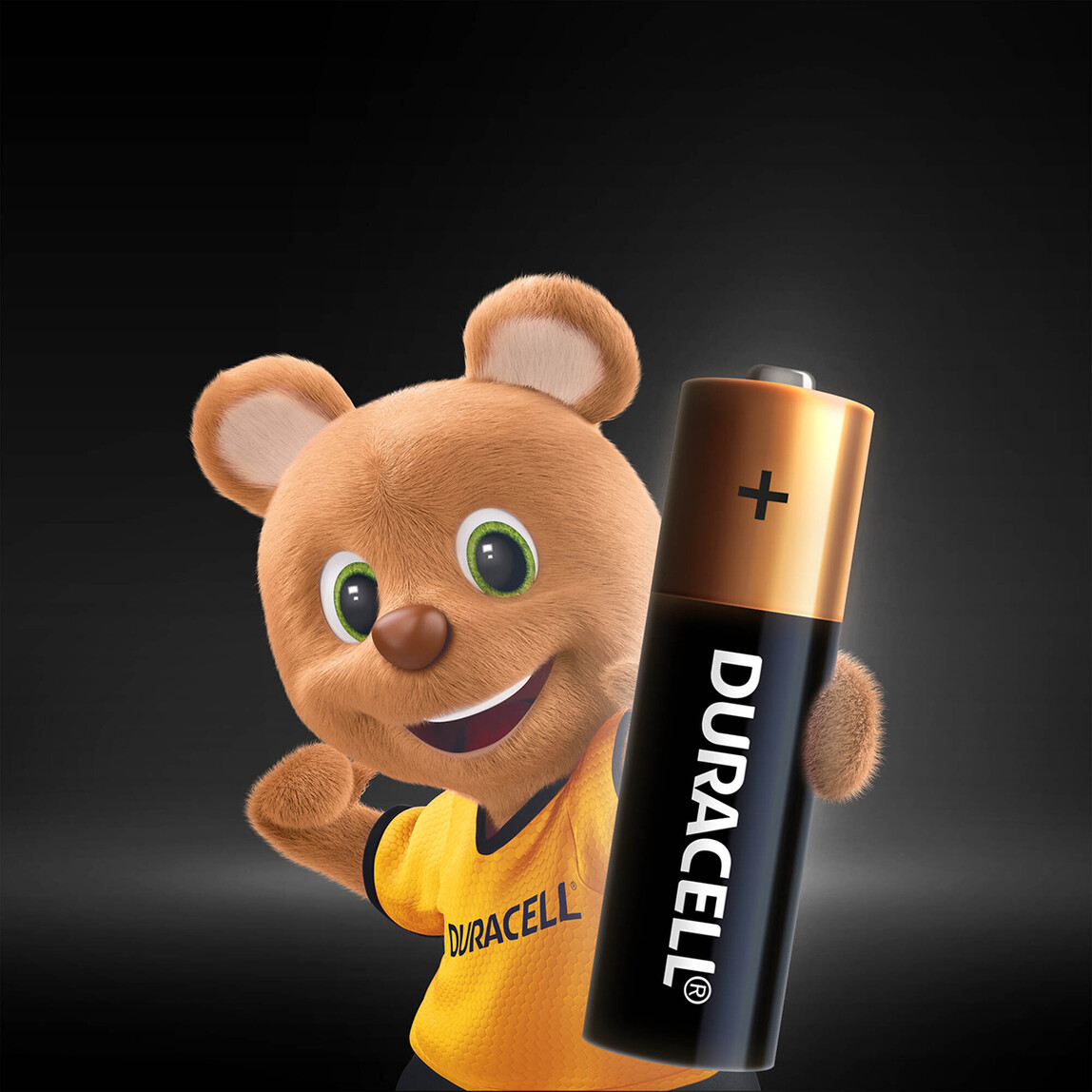    Duracell Basic Kalem Pil 6'Lı AA  