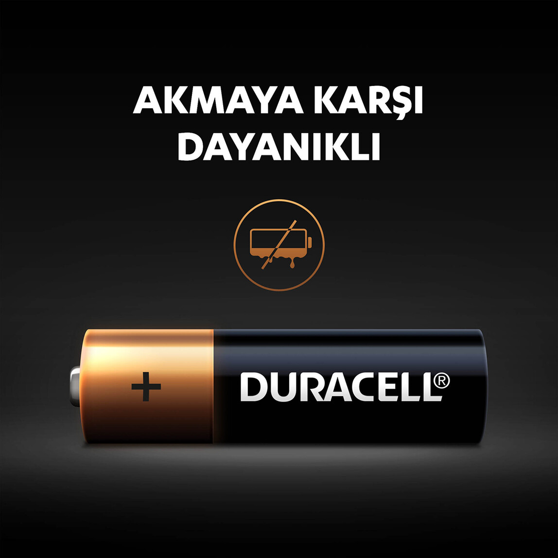    Duracell Basic Kalem Pil 6'Lı AA  