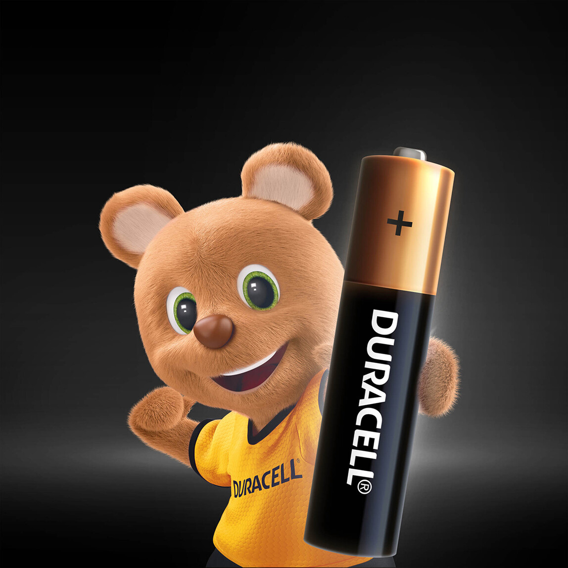    Duracell Basic İnce Kalem Pil 6'Lı AAA  