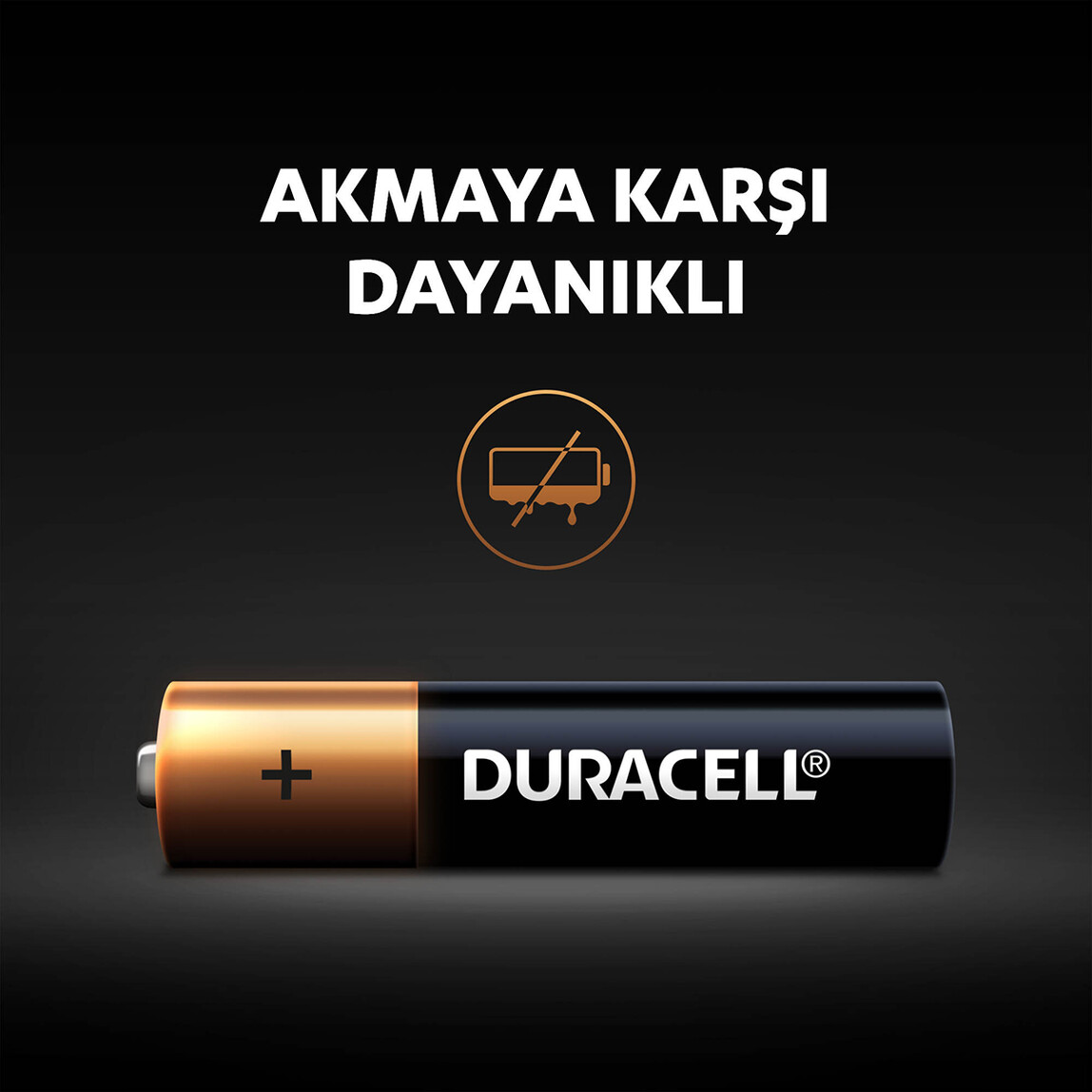    Duracell Basic İnce Kalem Pil 6'Lı AAA  