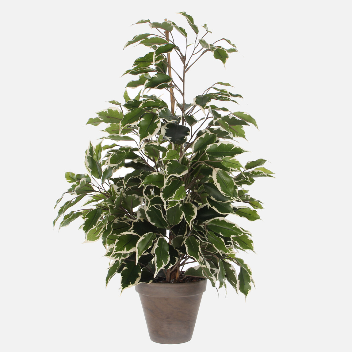    Ficus Yapay Ağaç 65 cm 