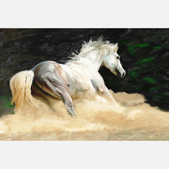 Artist Kanvas Tablo 60x90 (AN-005) 