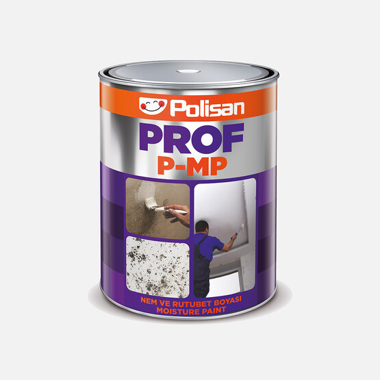 Polisan Prof P-MP Nem Boyası 1 kg
