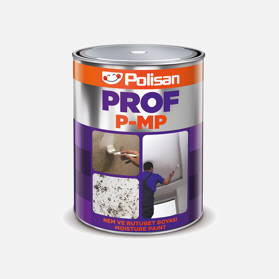Polisan 5 kg Prof P-Mp Nem Boyası 