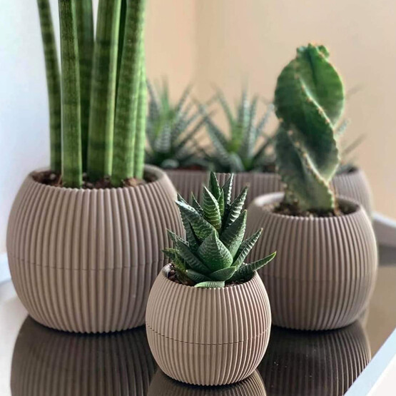 Yeni Özel Mercan Saksı 14cm