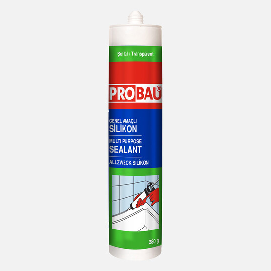 Probau Silikon Şeffaf 280 g