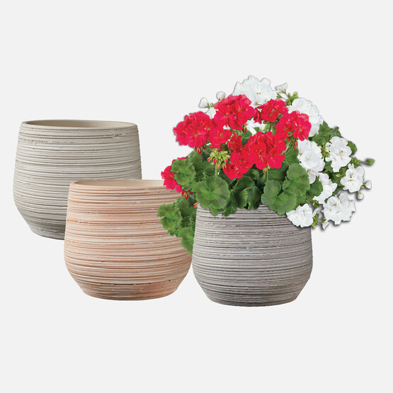 Ravenna Saksı Krem 17 cm