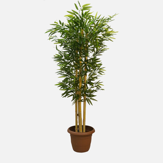 Bambu Yapay Bitki 