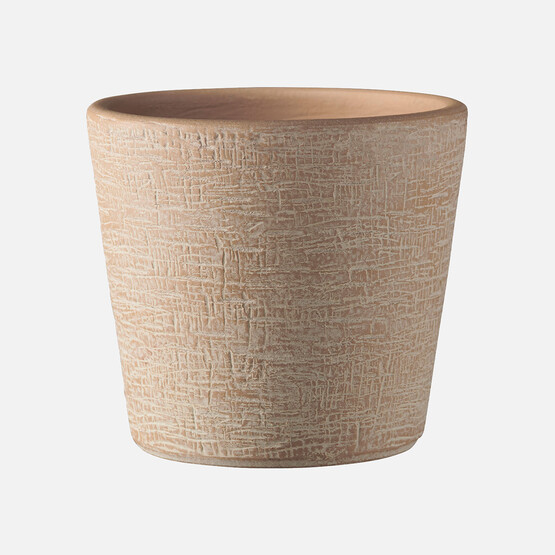 Piran Saksı Kahve 20 cm
