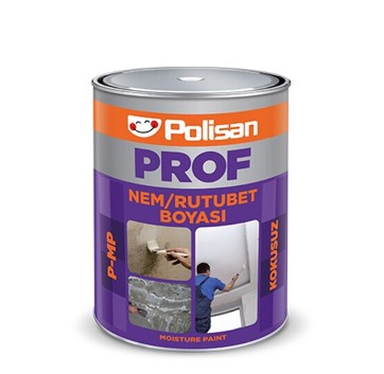 Polisan 5 KG Profesyonel Kokusuz Nem Boyası