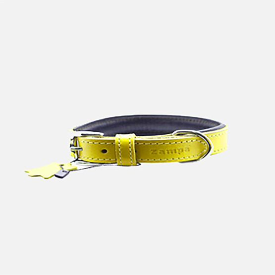 Zampa Köpek Boyun Tasması Sarı 42 cm 