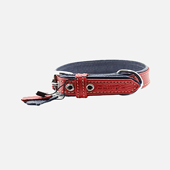 Zampa Flotter S Köpek Boyun Tasması Kırmızı 47 cm 