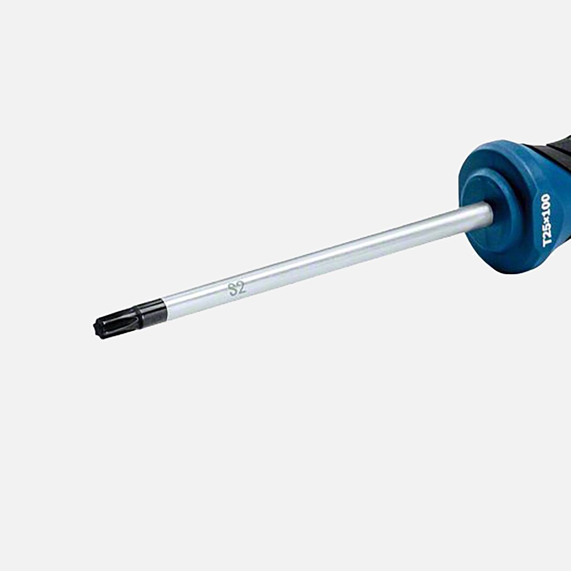    Bosch Profesyonel Torx Tornavida Tx25x100mm  