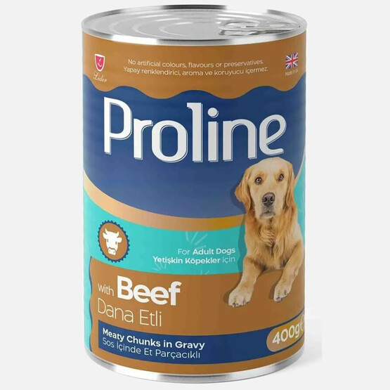 Proline Somonlu Konserve Yetişkin Köpek Maması 