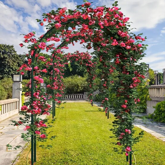 Gardener 73026 Gül Çemberi Yeşil
