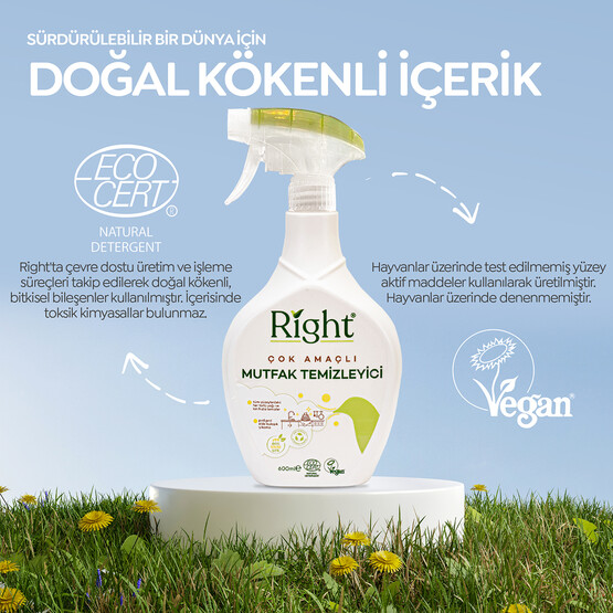 Right Mutfak Temizleyici 600ml