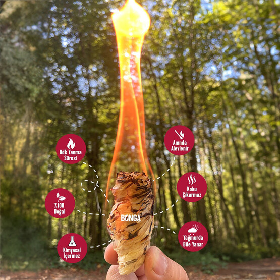 Bonga Odun Yünü Turuşturucu 350gr.