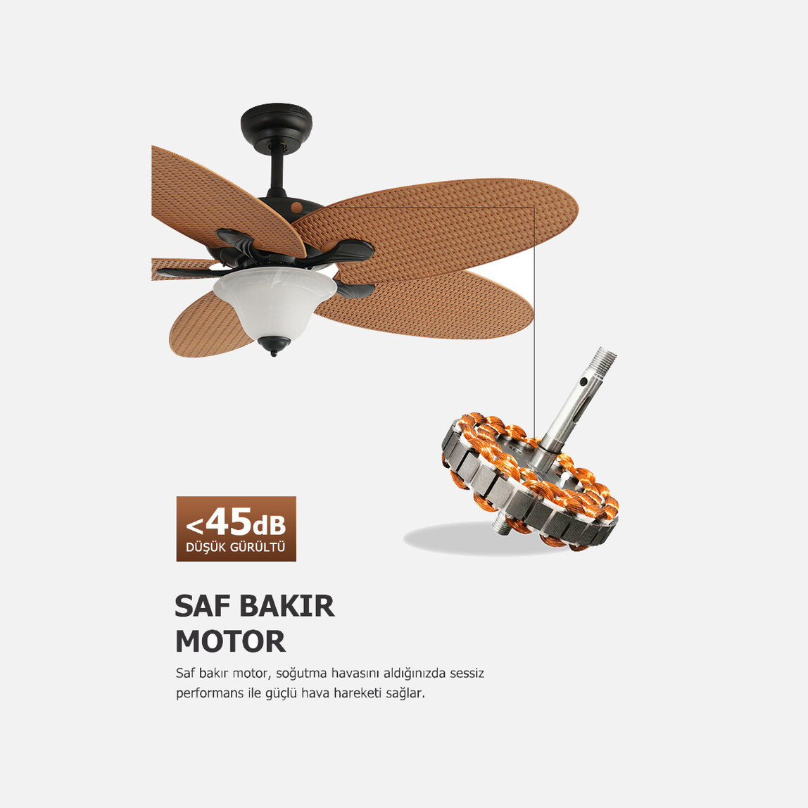   Dlc Carpinteiro Tavan Vantilatörü 2EX27 132cm Uzaktan Kumandalı 