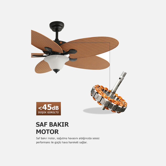 Dlc Carpinteiro Tavan Vantilatörü 2EX27 132cm Uzaktan Kumandalı