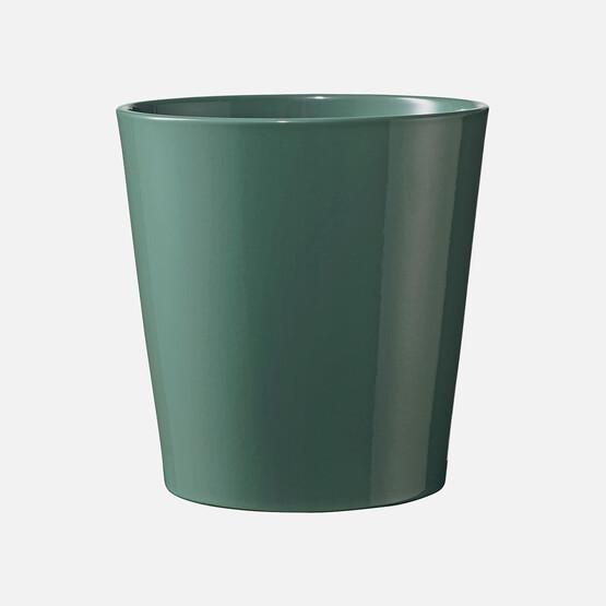 Dallas Breeze Saksı Yeşil 14 cm
