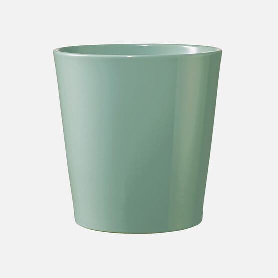 Dallas Breeze Saksı Açık Yeşil 14 cm