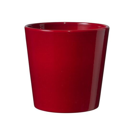 Dallas Saksı Bordo 14 cm
